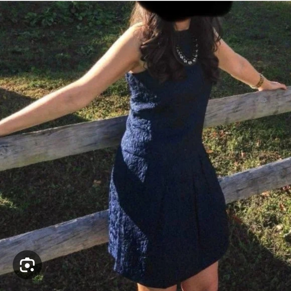 Women's Navy/Black  Textured Sleeveless Dress By Club Monaco Size 8